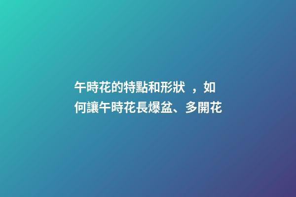 午時花的特點和形狀，如何讓午時花長爆盆、多開花-第1張-觀點-玄機派